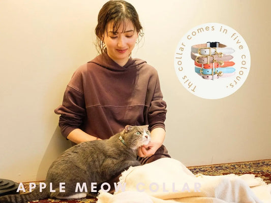 【LOVST TOKYO】2月22日(猫の日)に三度目のクラウドファンディングに挑戦いたします。 LOVST TOKYO