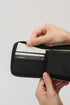 Apple Samael Wallet
