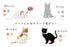 Apple Meow Collar LOVST TOKYO