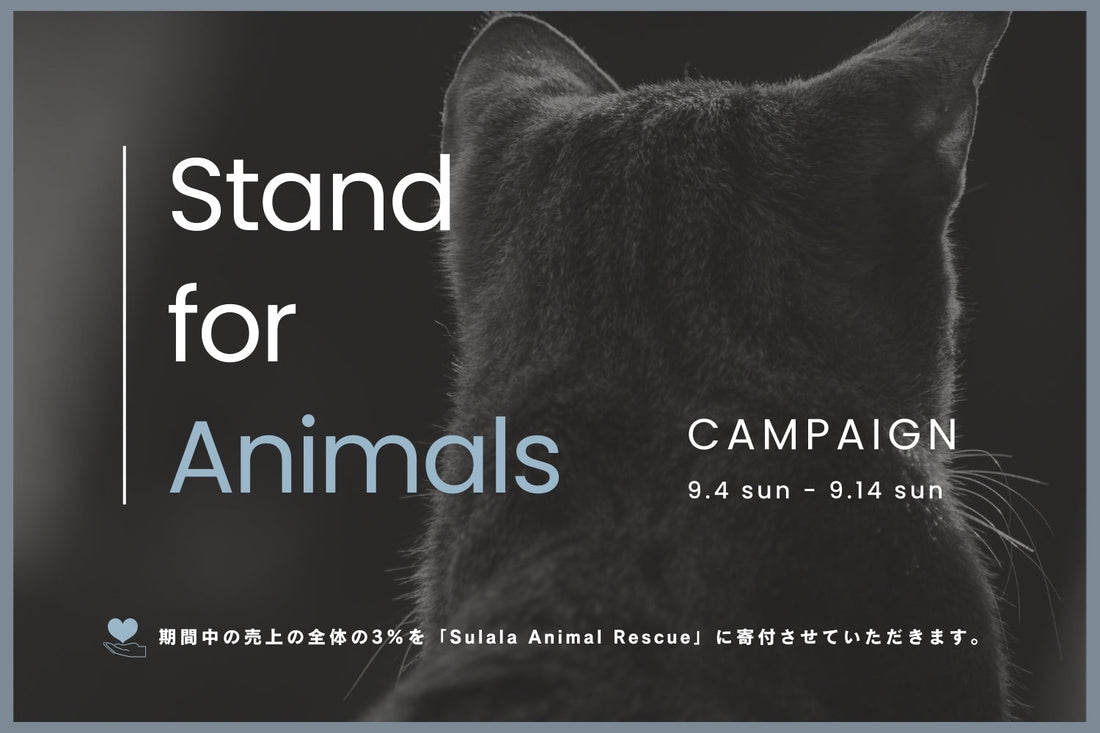 ガザ地区の動物たちへ向けた「Stand for Animals Campaign」を実施します！
