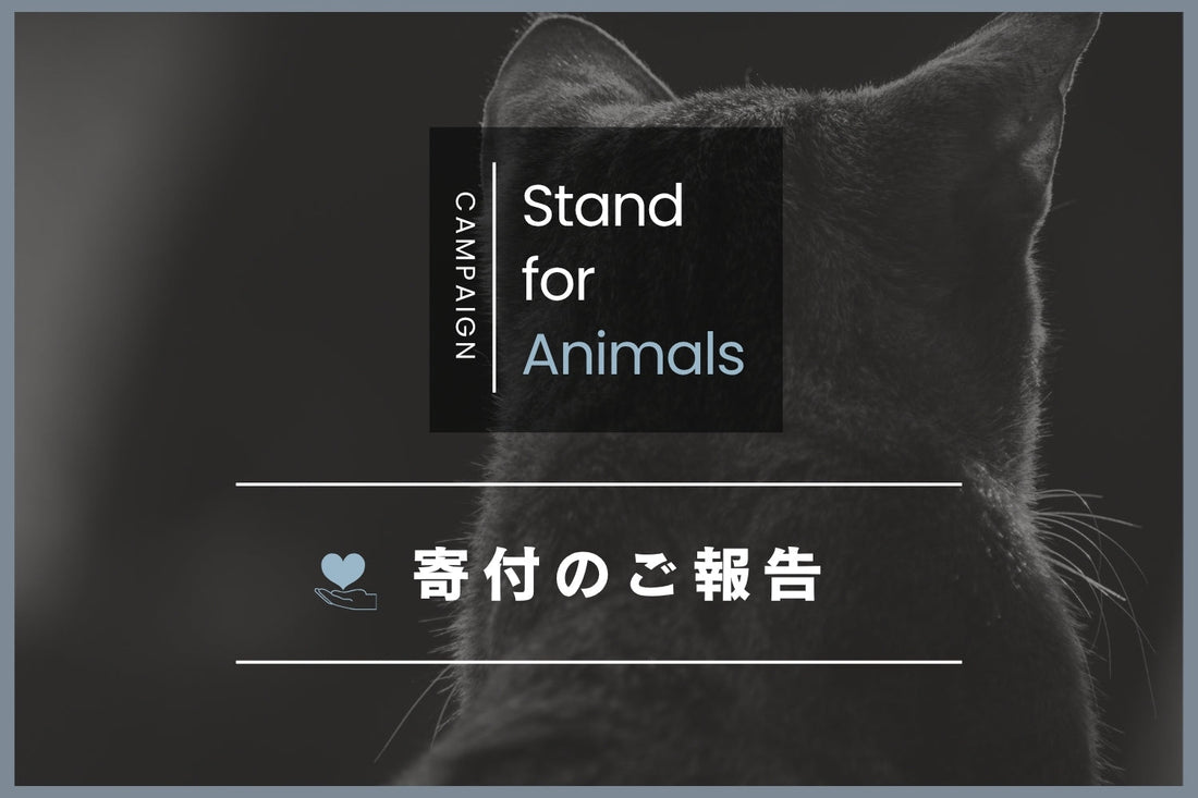 【Stand for Animals Campaign】寄付のご報告