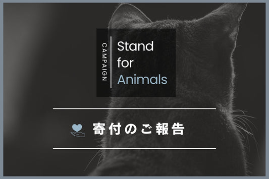 【Stand for Animals Campaign】寄付のご報告