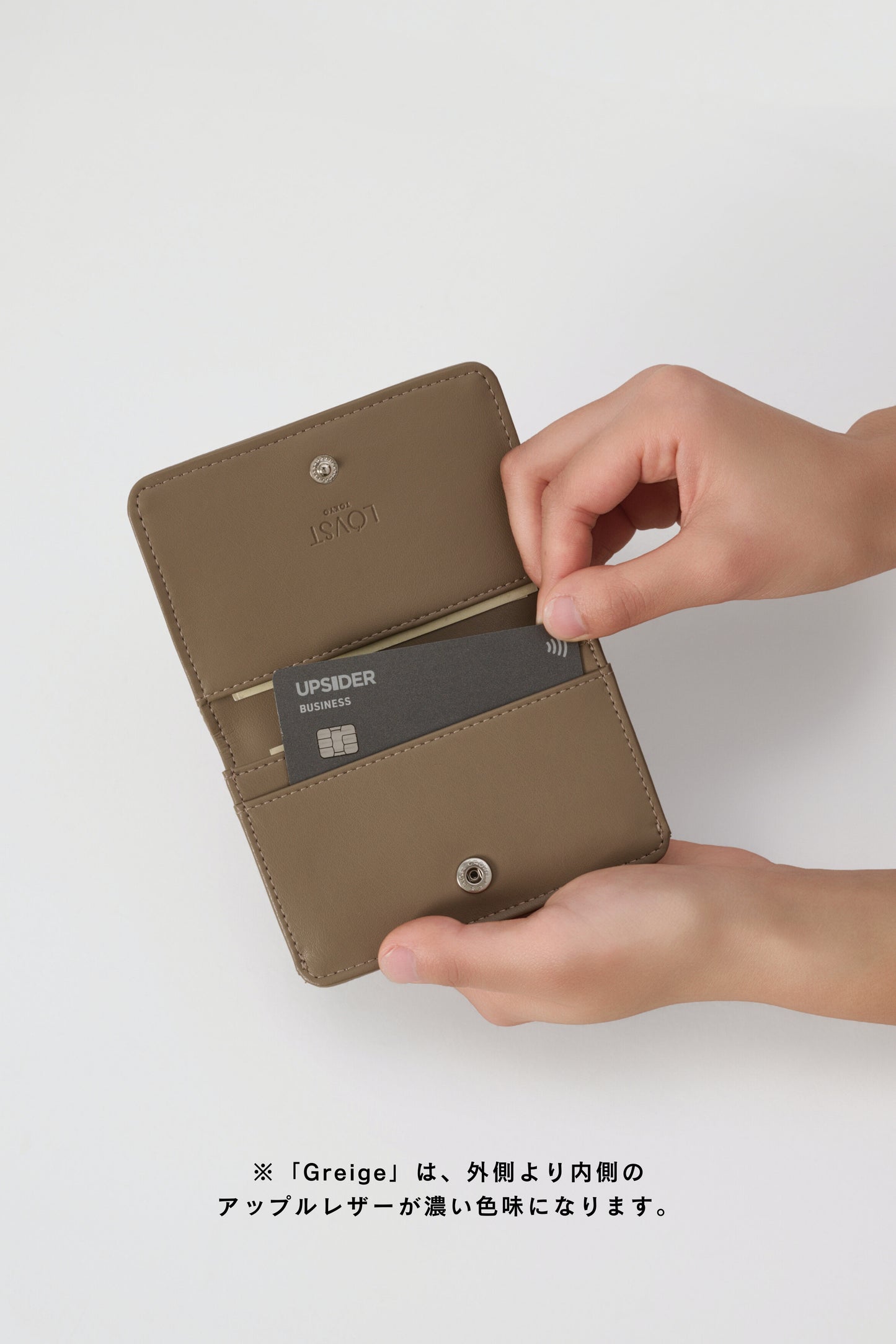 Apple Quilting Card Case